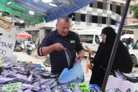 Rize'de Karadeniz palamudu tezgahlarda 50 ile 100 lira arasında satılıyor