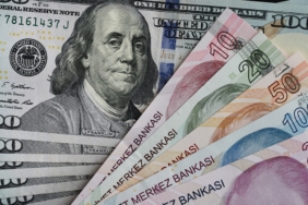 Dolar/TL 49,1800 Seviyesine Ulaşarak Rekor Tazeledi