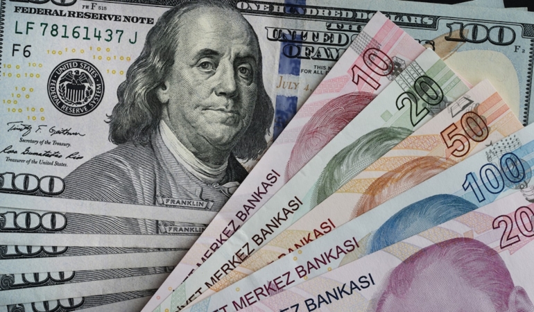 Dolar/TL 49,1800 Seviyesine Ulaşarak Rekor Tazeledi