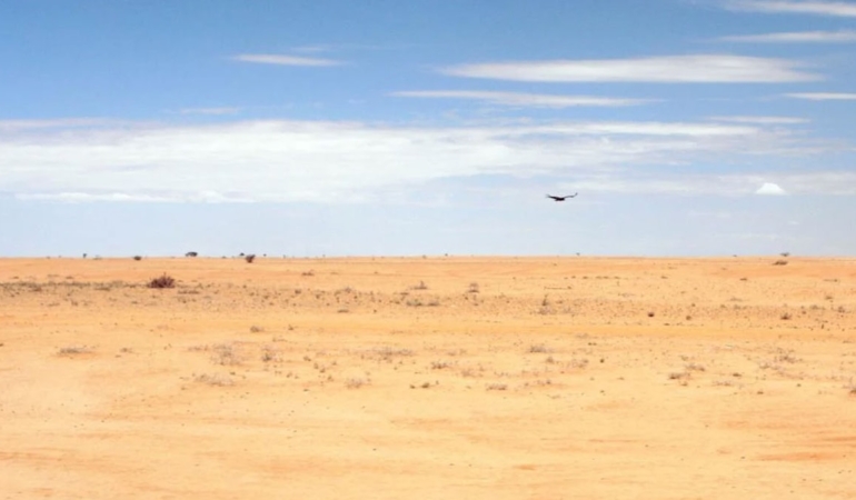 Arap Yarımadası’ndaki Kasırgalar Doğu Afrika’yı Etkileyen Tarihi Çekirge İstilasına Yol Açtı