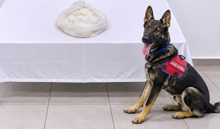 Van’da Otobüste 1 Kilo Metamfetaminle Yakalanan Yolcu Tutuklandı